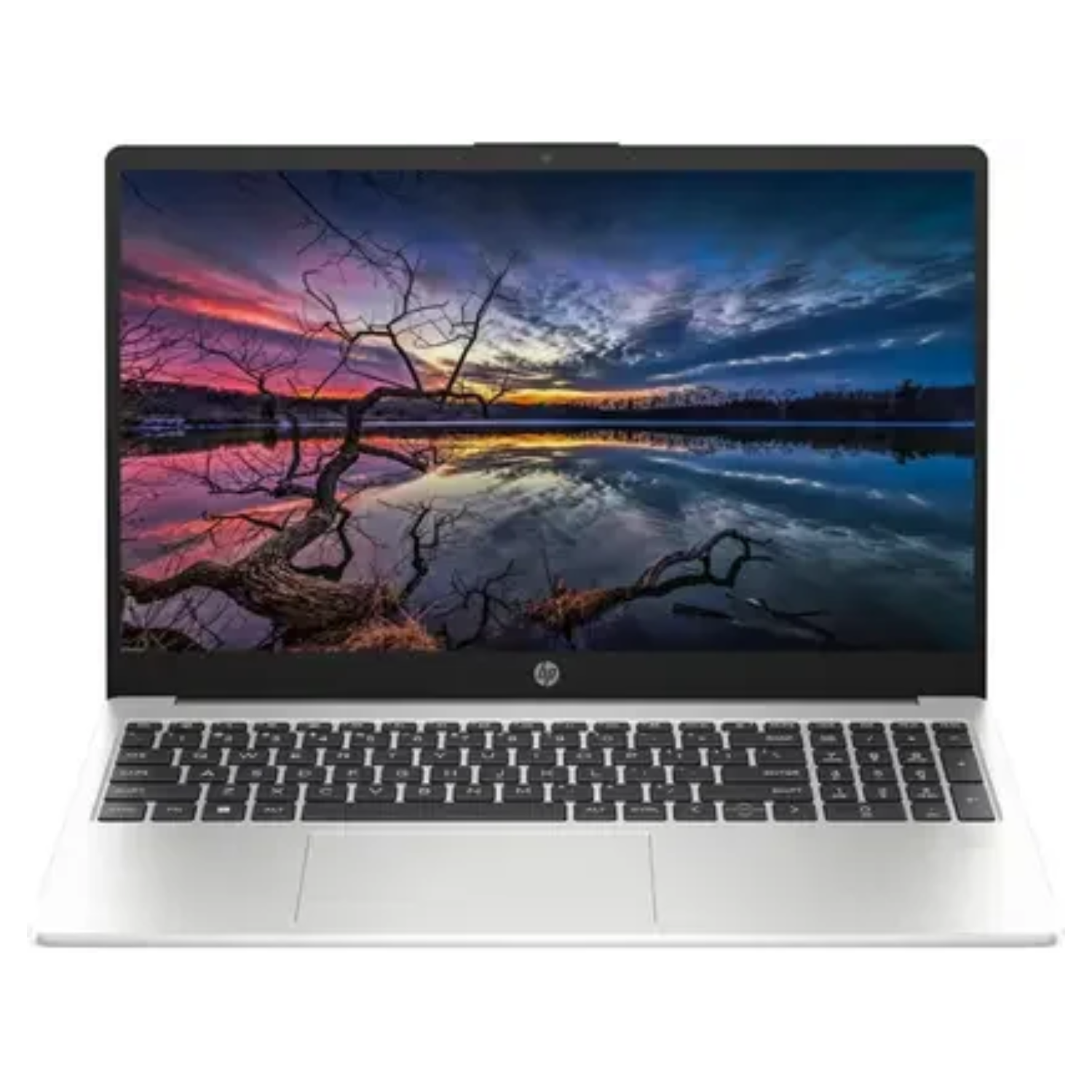 HP 250 G10 Backlit (2025) Professional Intel Core i5 13th Gen 1334U vPro Technology - (8 GB/512 GB SSD/Windows 11 Home)